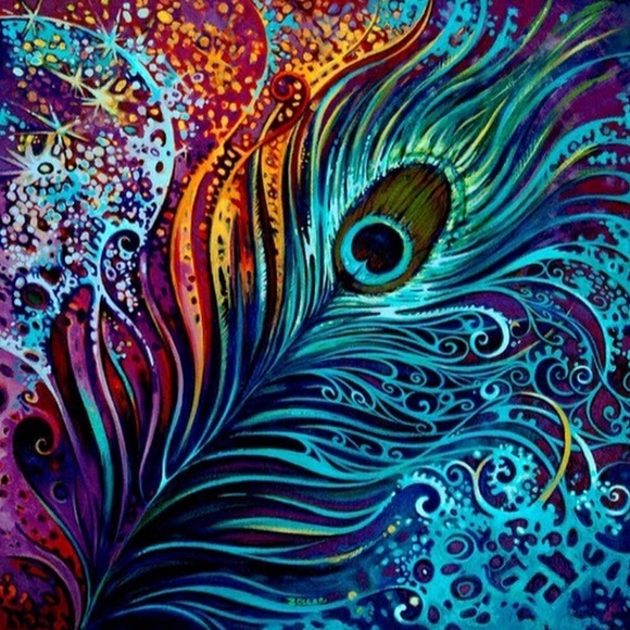 Meet your Posher, Chandni - Picture 1 of 1